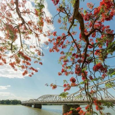 CẦU TRƯỜNG TIỀN